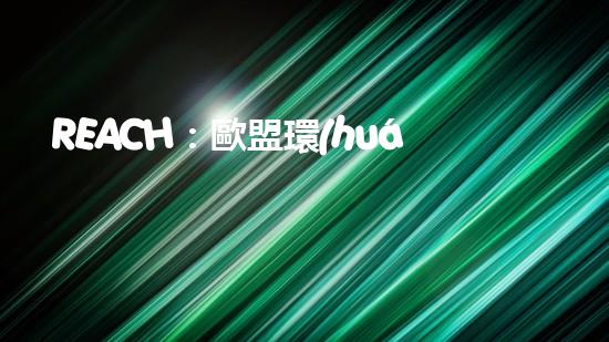 REACH：歐盟環(huán)保標(biāo)準(zhǔn)下的保障與挑戰(zhàn)