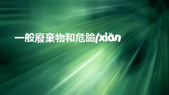 一般廢棄物和危險(xiǎn)廢棄物如何存放革新化工行業(yè)：未來十年的技術(shù)挑戰(zhàn)與突破
