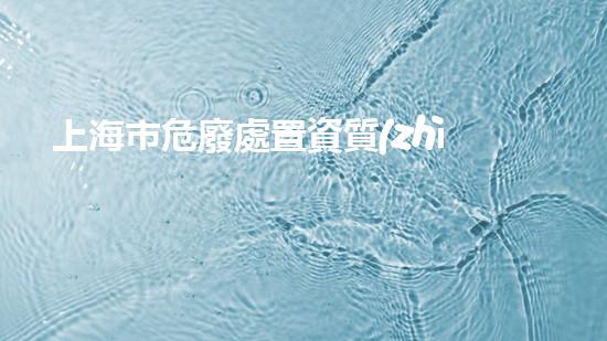 上海市危廢處置資質(zhì)企業(yè)名錄革新化工安全：探索新技術(shù)與最佳實踐