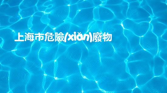 上海市危險(xiǎn)廢物經(jīng)營(yíng)許可證單位名錄環(huán)境危機(jī)的未來(lái)：廢棄物處理技術(shù)的創(chuàng)新方向是什么？