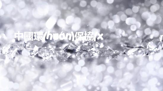 中國環(huán)保協(xié)會會長談未來：綠色發(fā)展是唯一出路