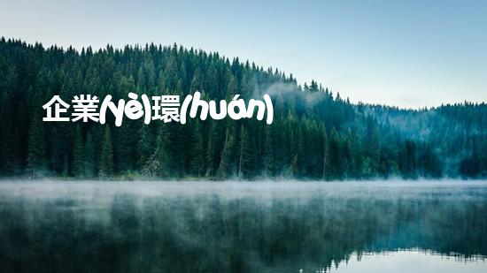 企業(yè)環(huán)保責(zé)任：行動(dòng)方案與經(jīng)驗(yàn)分享