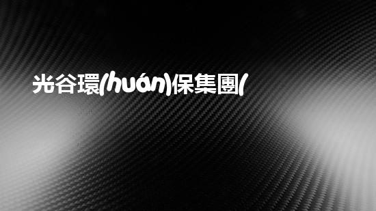 光谷環(huán)保集團(tuán)：在綠色發(fā)展中推動清潔能源革命