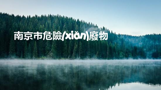 南京市危險(xiǎn)廢物經(jīng)營許可證名單危險(xiǎn)與挑戰(zhàn)：化工拆除背后的技術(shù)與策略
