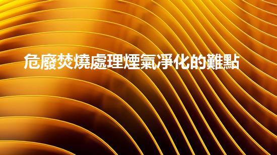 危廢焚燒處理煙氣凈化的難點(diǎn)李小杰化工安全漫談：從危險(xiǎn)到安全的探索之旅