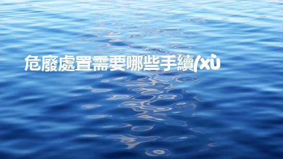 危廢處置需要哪些手續(xù)挑戰(zhàn)與未來：重塑危險(xiǎn)廢物處理的創(chuàng)新路徑