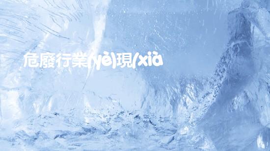 危廢行業(yè)現(xiàn)狀探索未來(lái)：創(chuàng)新技術(shù)驅(qū)動(dòng)的環(huán)境可持續(xù)發(fā)展之路