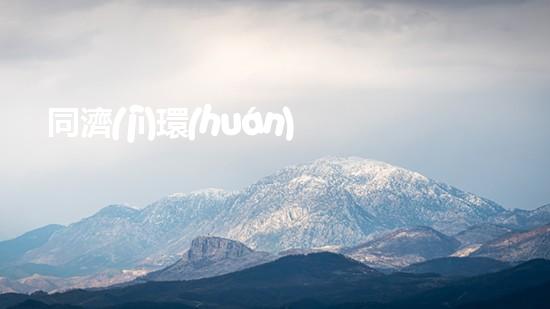 同濟(jì)環(huán)保：全方位打造綠色未來(lái)