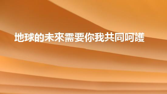 地球的未來需要你我共同呵護：環(huán)保主題海報