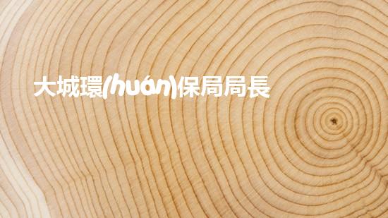 大城環(huán)保局局長(zhǎng)李洪勇如何帶領(lǐng)全民共治環(huán)保問題