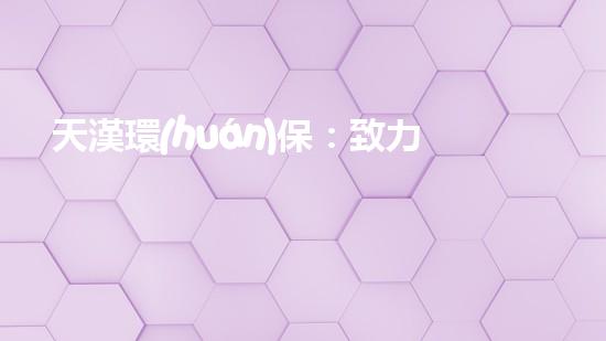 天漢環(huán)保：致力于中國環(huán)保事業(yè)的領(lǐng)軍企業(yè)