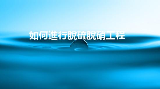 如何進行脫硫脫硝工程