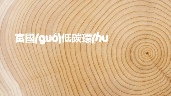 富國(guó)低碳環(huán)保股票：投資未來(lái)的綠色經(jīng)濟(jì)