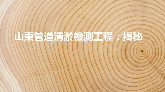 山東管道清淤檢測工程：揭秘暗藏的淤泥王國！