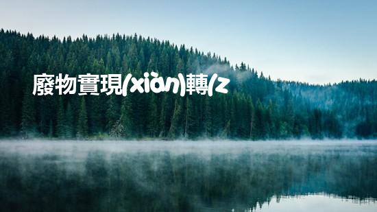 廢物實現(xiàn)轉(zhuǎn)化：環(huán)保新綠色