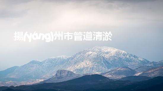 揚(yáng)州市管道清淤公司：解放城市下水道的隱秘之謎！