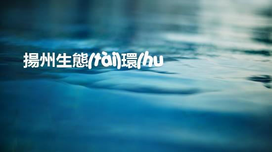 揚州生態(tài)環(huán)保局危廢處置單位探索未來：關于keywords的全新視角
