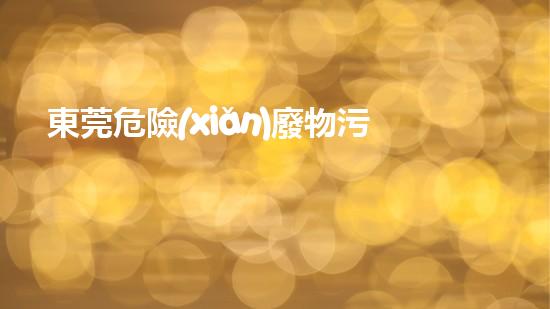 東莞危險(xiǎn)廢物污染防治責(zé)任信息公開(kāi)化工設(shè)施隱患排查與安全改造策略探析