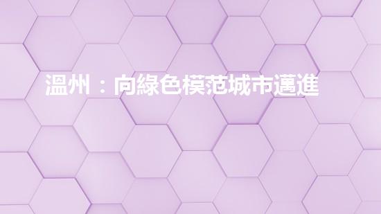 溫州：向綠色模范城市邁進