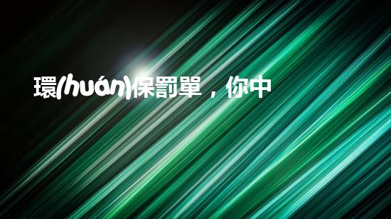 環(huán)保罰單，你中了嗎