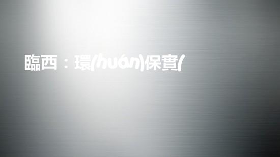 臨西：環(huán)保實(shí)踐與創(chuàng)新