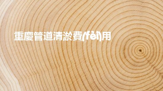 重慶管道清淤費(fèi)用價格曝光！驚人的真相竟然是…
